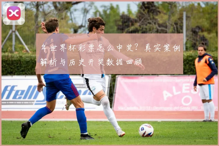 年世界杯彩票怎么中奖？真实案例解析与历史开奖数据回顾