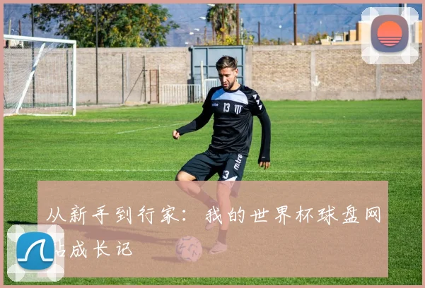 从新手到行家：我的世界杯球盘网站成长记