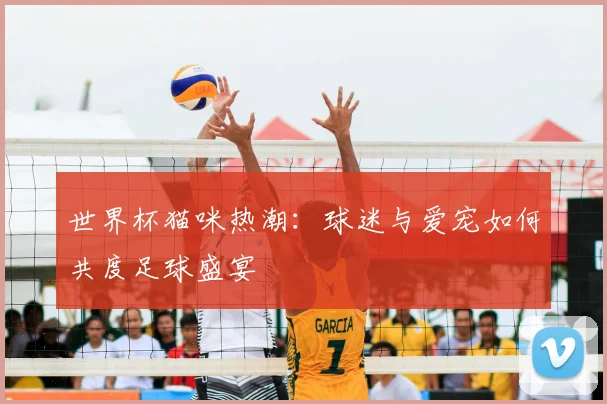 世界杯猫咪热潮:球迷与爱宠如何共度足球盛宴