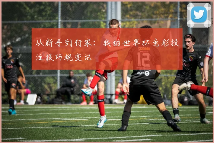 从新手到行家:我的世界杯竞彩投注技巧蜕变记