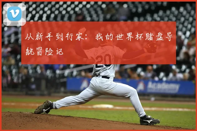 从新手到行家:我的世界杯赌盘导航冒险记