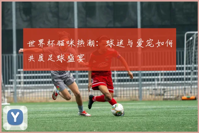 世界杯猫咪热潮:球迷与爱宠如何共度足球盛宴
