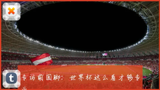 专访前国脚:世界杯这么看才够专业
